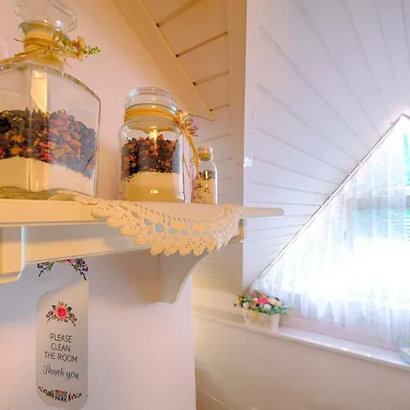 Park Bed & Breakfast Lasko