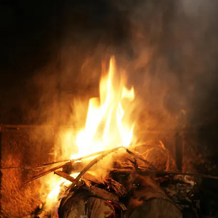 Bed & Breakfast Park