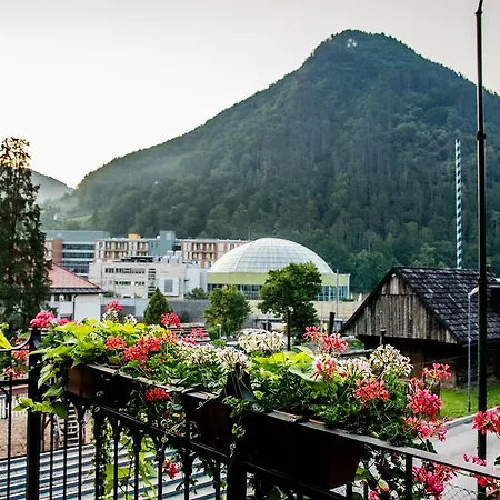 Bed & Breakfast Park