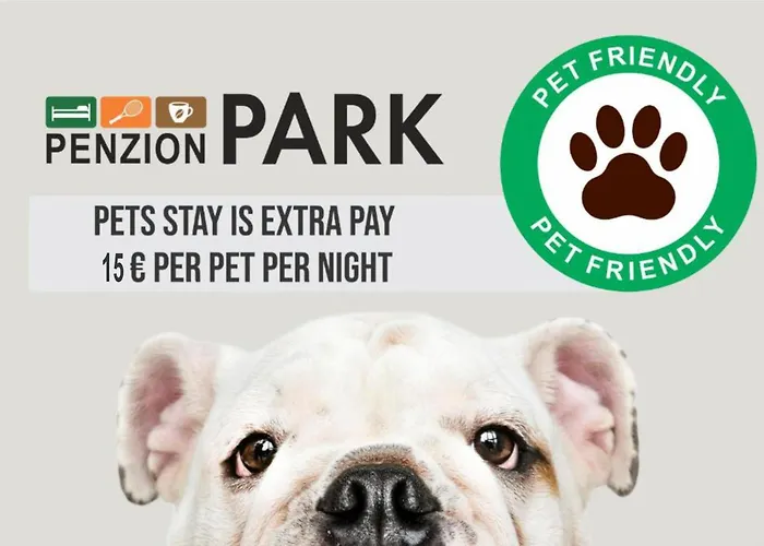 Bed & Breakfast Park Lasko